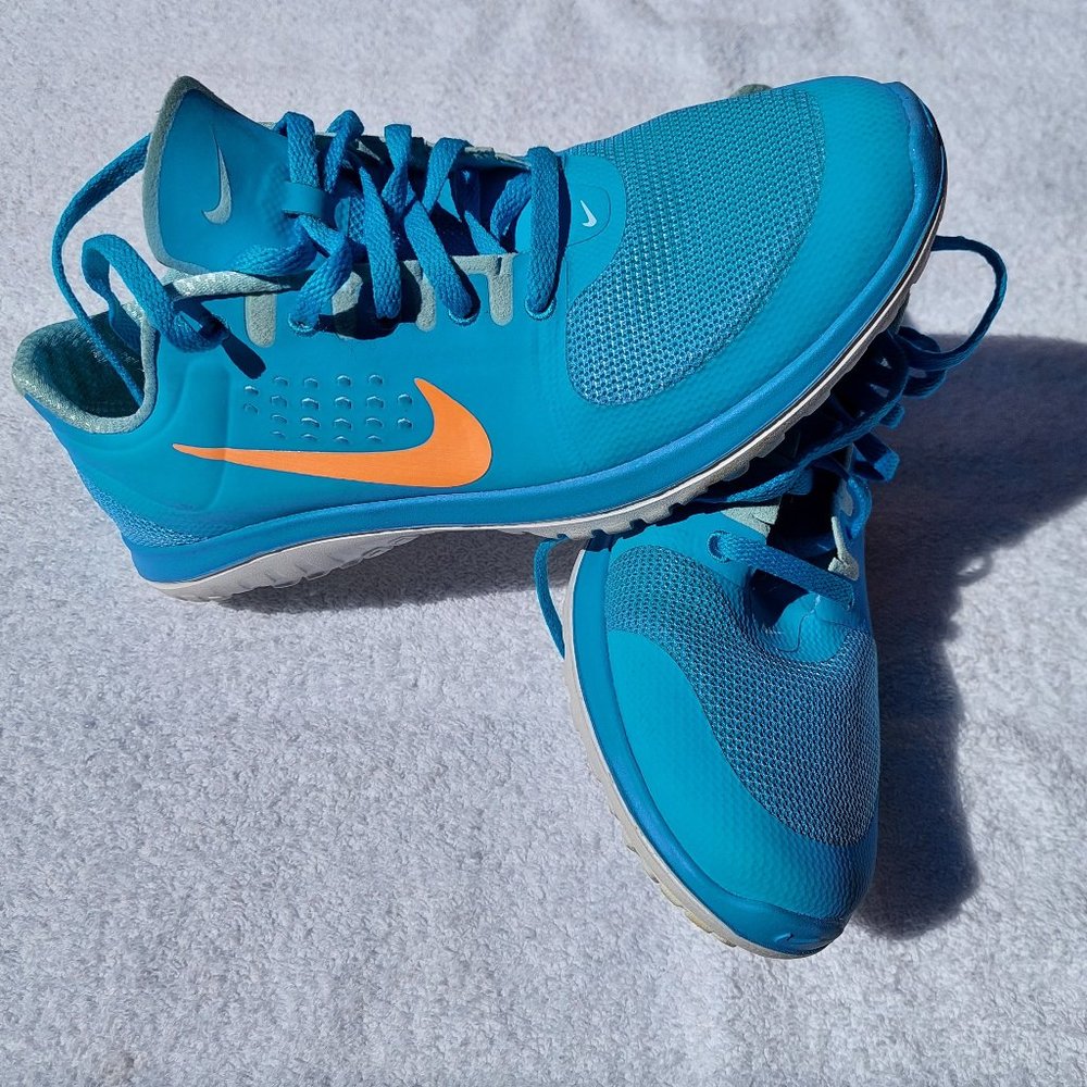 Nike FS Lite Run 3 blue shoes